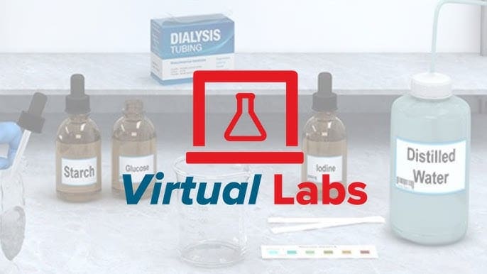Student using a virtual science lab simulation